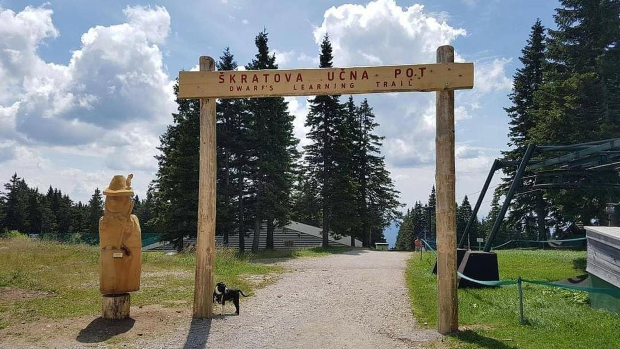Rogla - Chalet Mojca Pokrajculja Зрече Экстерьер фото